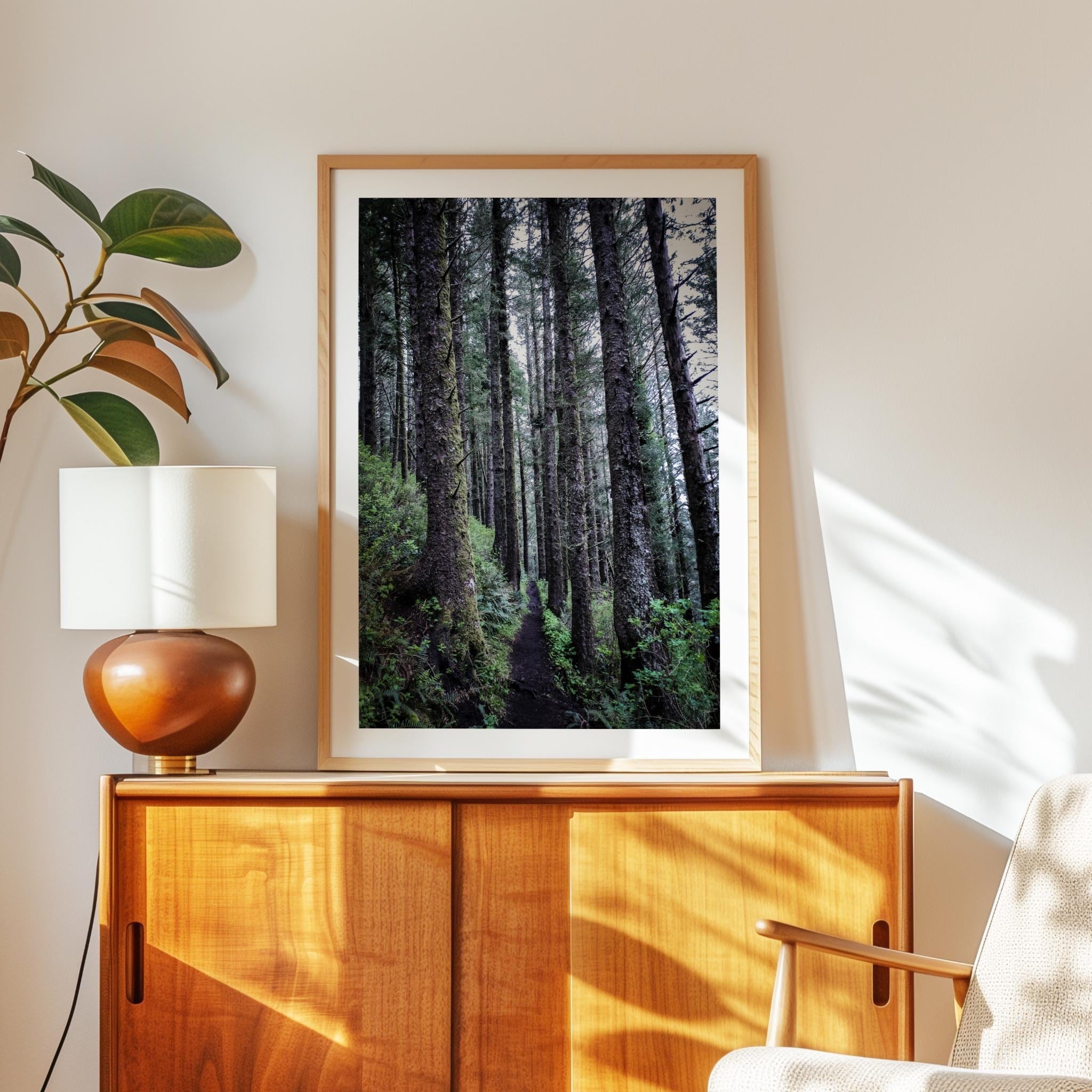 Oregon Forest Wall Art, Coastal Trail Photography, Sitka Spruce Print, Pacific Northwest Nature Decor
