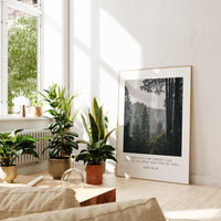 John Muir Quote - And into the forest I go, to lose my mind and find my soul. Art Print - Oregon Evergreen Forest - Silver Falls State Park