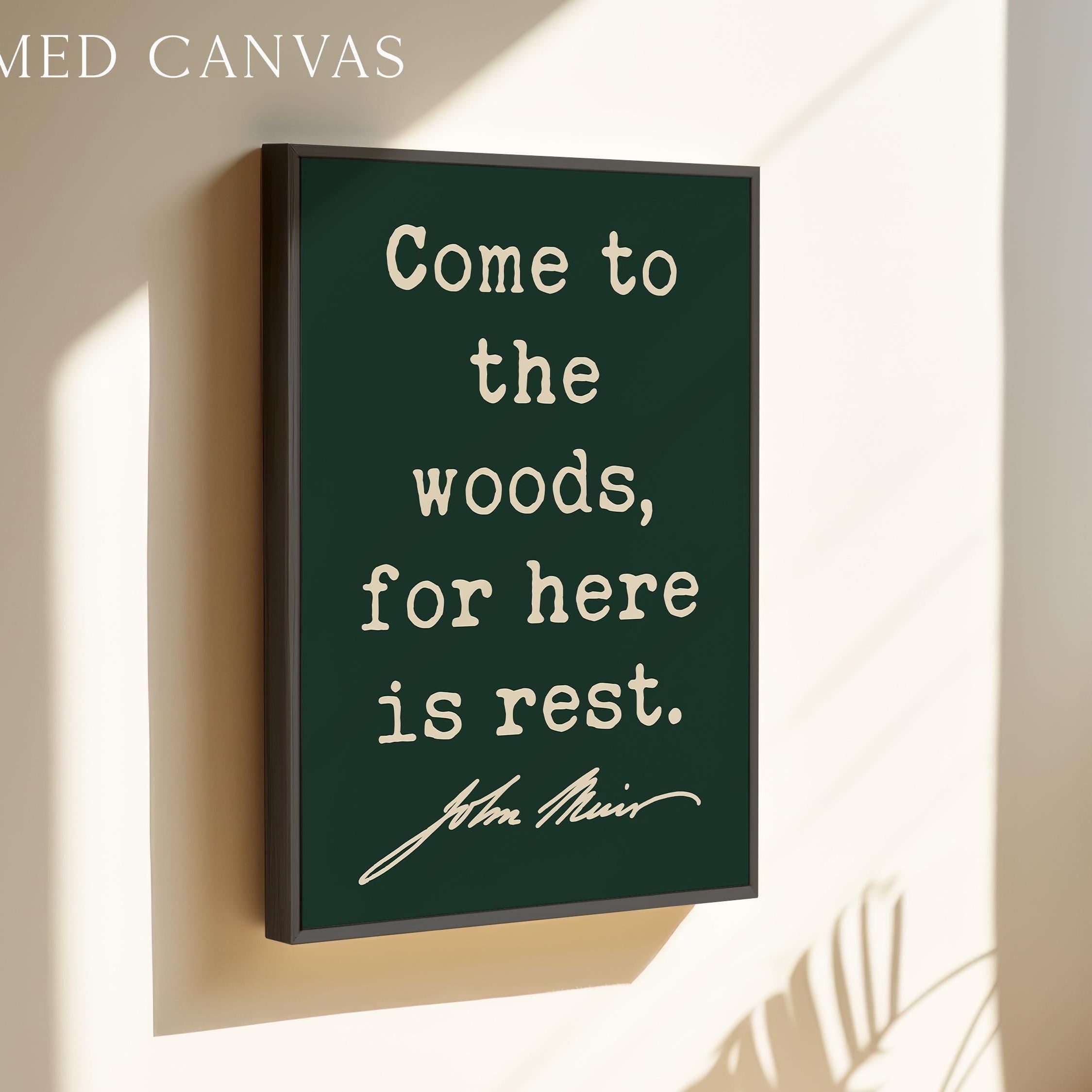 Come to the Woods, for Here is Rest, John Muir Quote, Typography Art Print