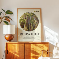 Redwood National Park Print, California Travel Art, Mid Century Modern Wall Decor