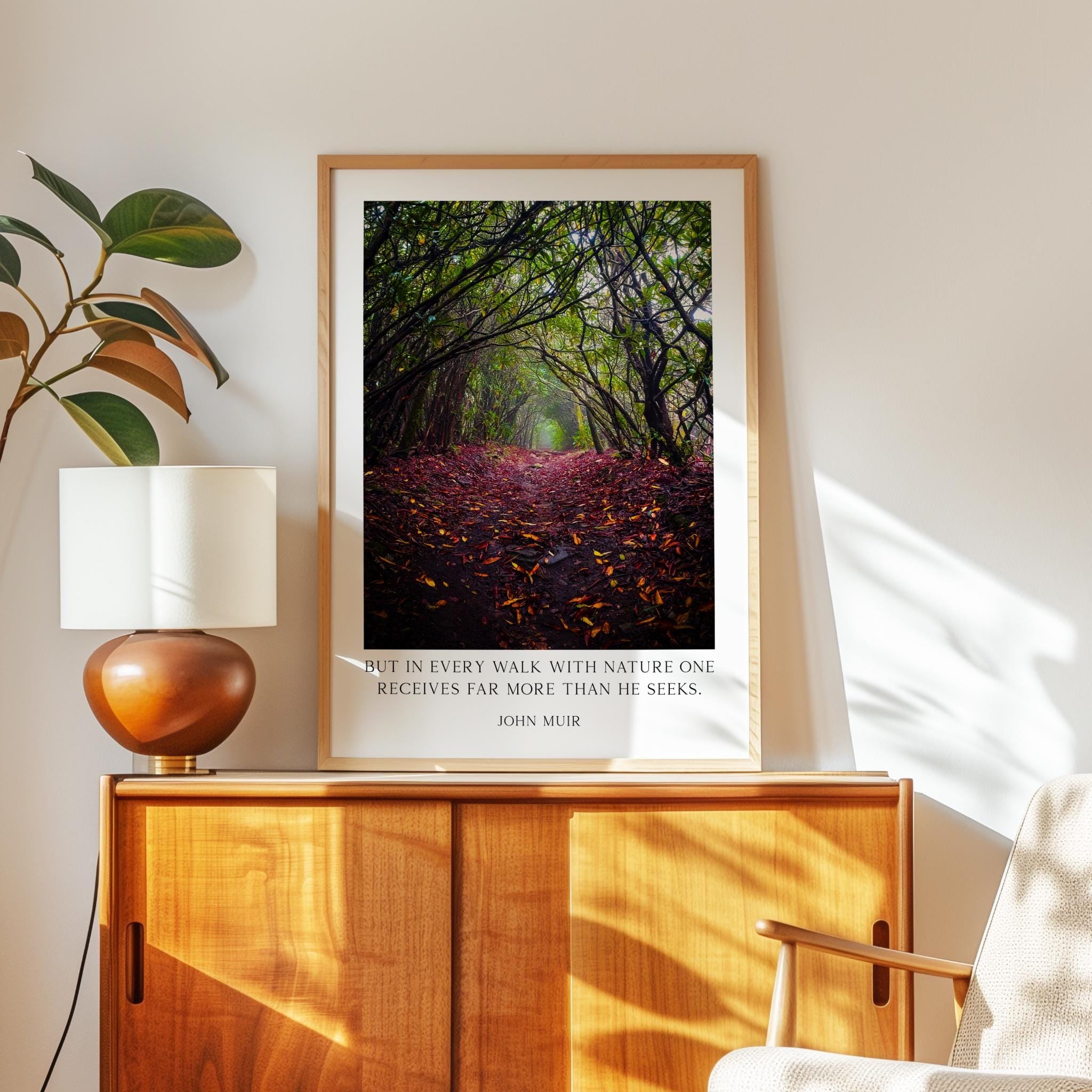 A framed photograph of a forest path with fallen leaves is displayed on a wooden cabinet, accompanied by a quote attributed to John Muir.