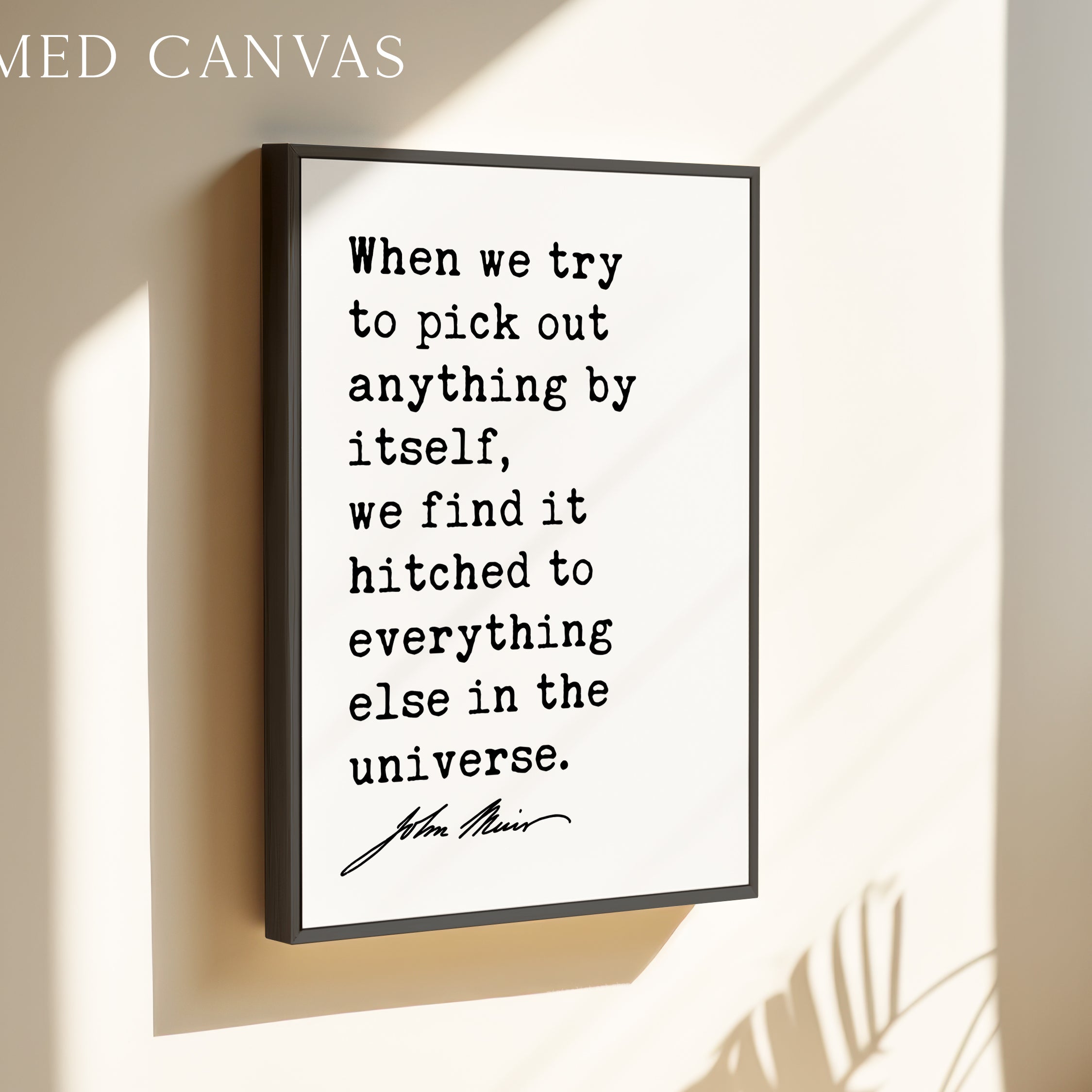a framed canvas with a quote about finding oneself in the universe.