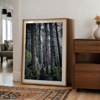 Oregon Forest Wall Art, Coastal Trail Photography, Sitka Spruce Print, Pacific Northwest Nature Decor
