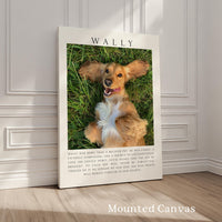 Mounted Canvas