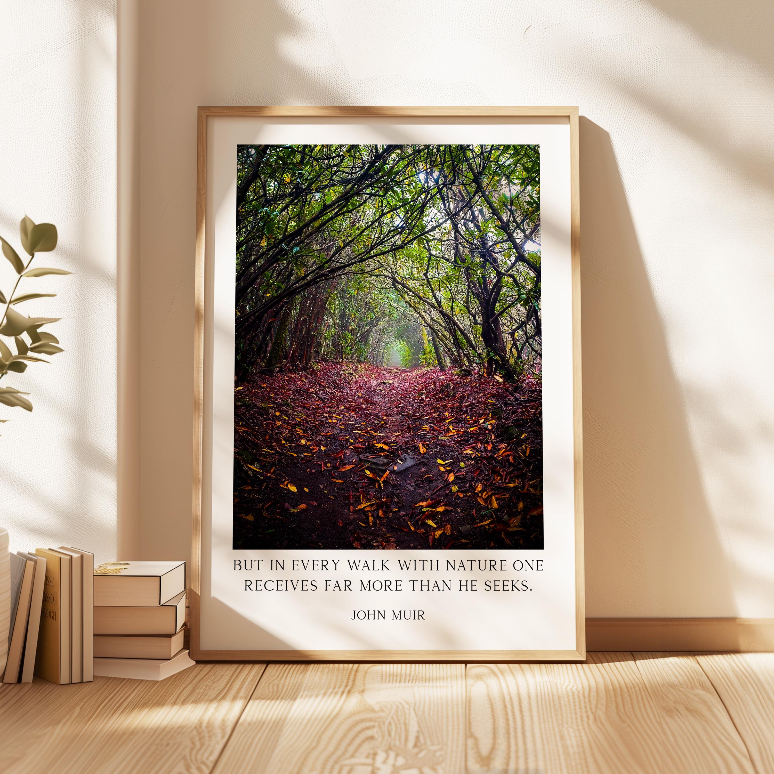 A framed photograph of a forest path covered in fallen leaves, with a quote attributed to John Muir superimposed on the image.