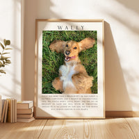 A framed photograph of a golden retriever dog lying on the grass, with a caption describing the dog as a beloved pet.