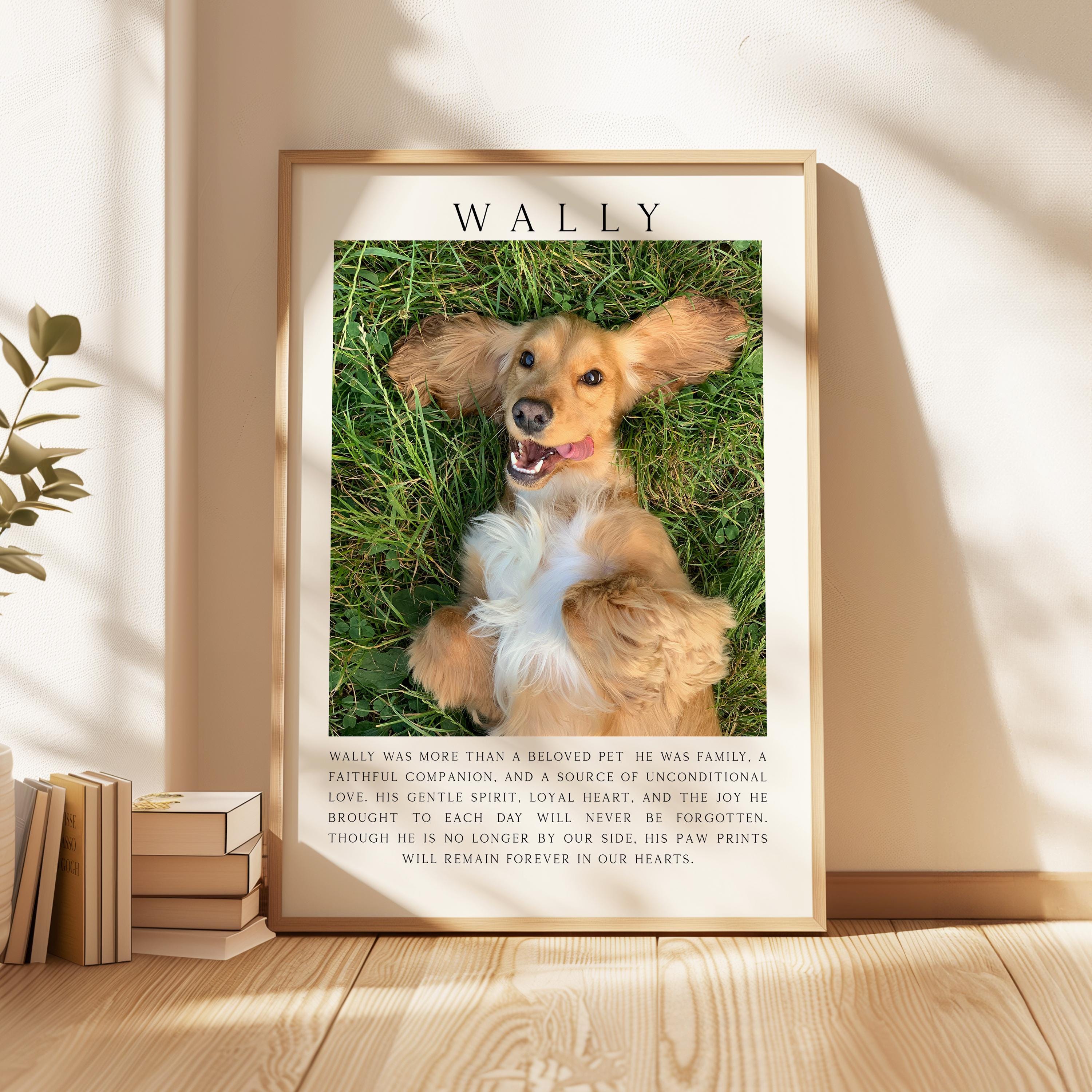 A framed photograph of a golden retriever dog lying on the grass, with a caption describing the dog as a beloved pet.