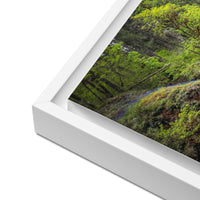 Lower South Falls at Silver Falls State Park, Oregon, Framed Canvas Art Print
