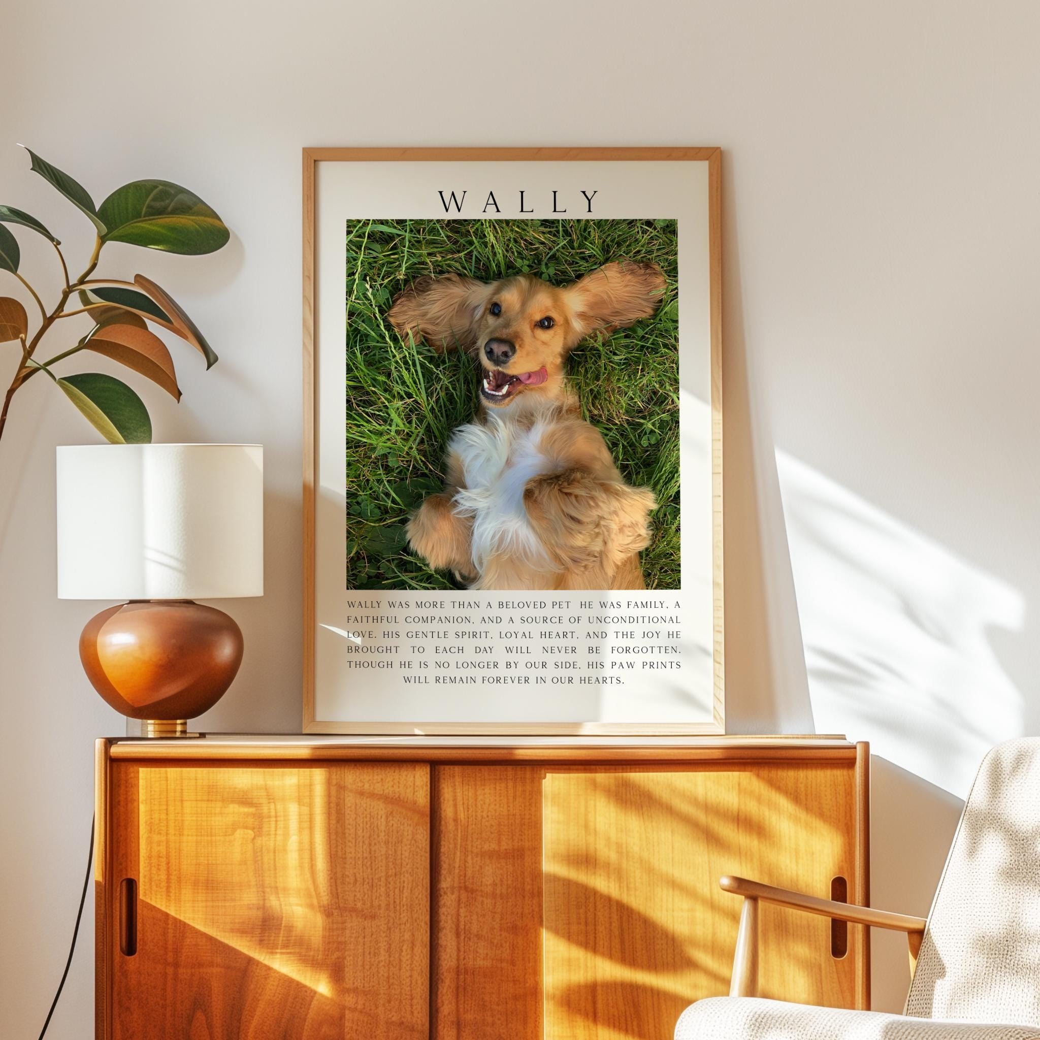 A framed photograph of a dog lying on the grass, with the name "Wally" written above it.
