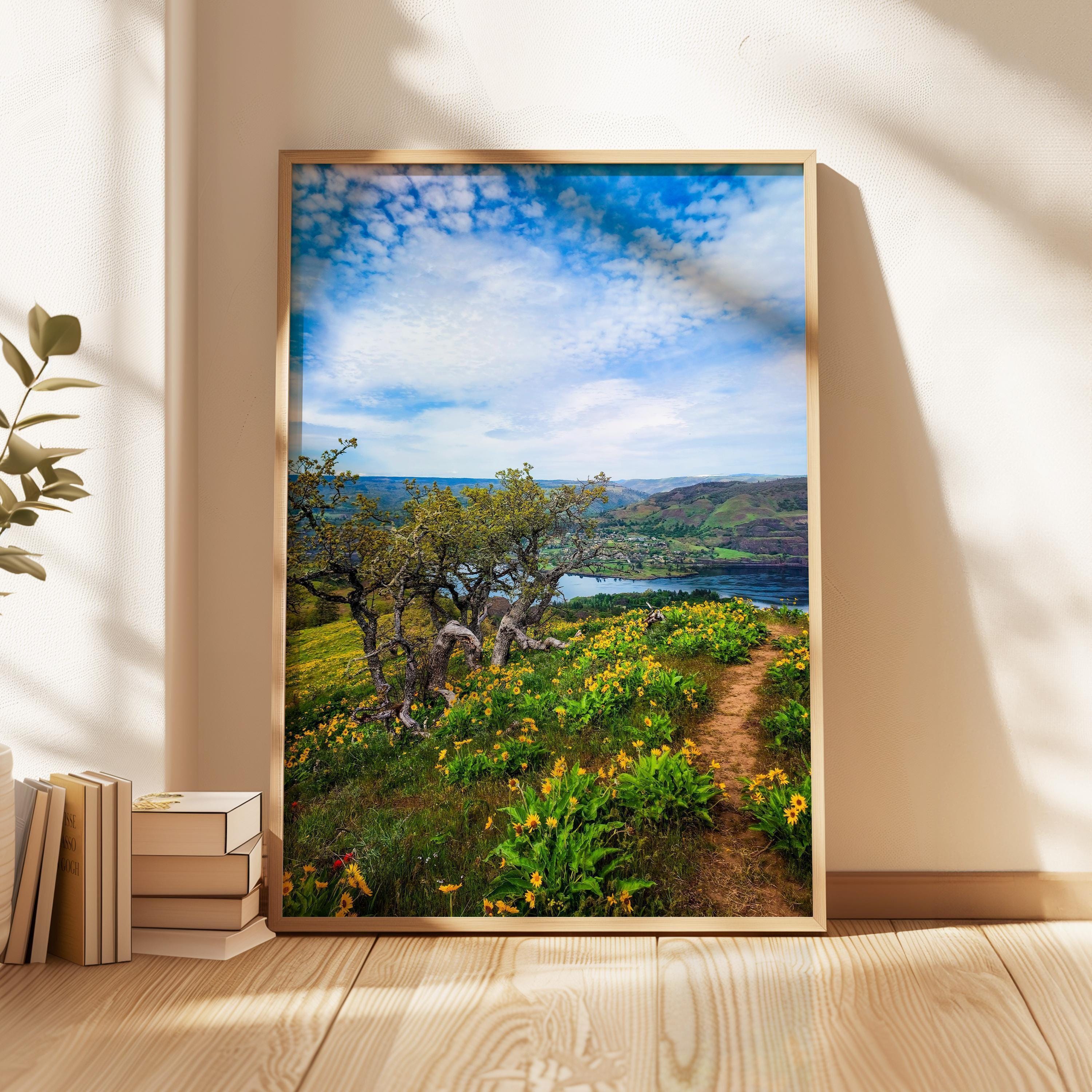 Oregon Landscape Photography Print, Tom McCall Point Trail Wall Art, Columbia River Gorge, PNW Nature Photo by Jessie Dysart