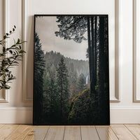 Silver Falls State Park Wall Art, Oregon Forest Photography Print, Moody Waterfall Landscape Décor, Pacific Northwest Nature Photo