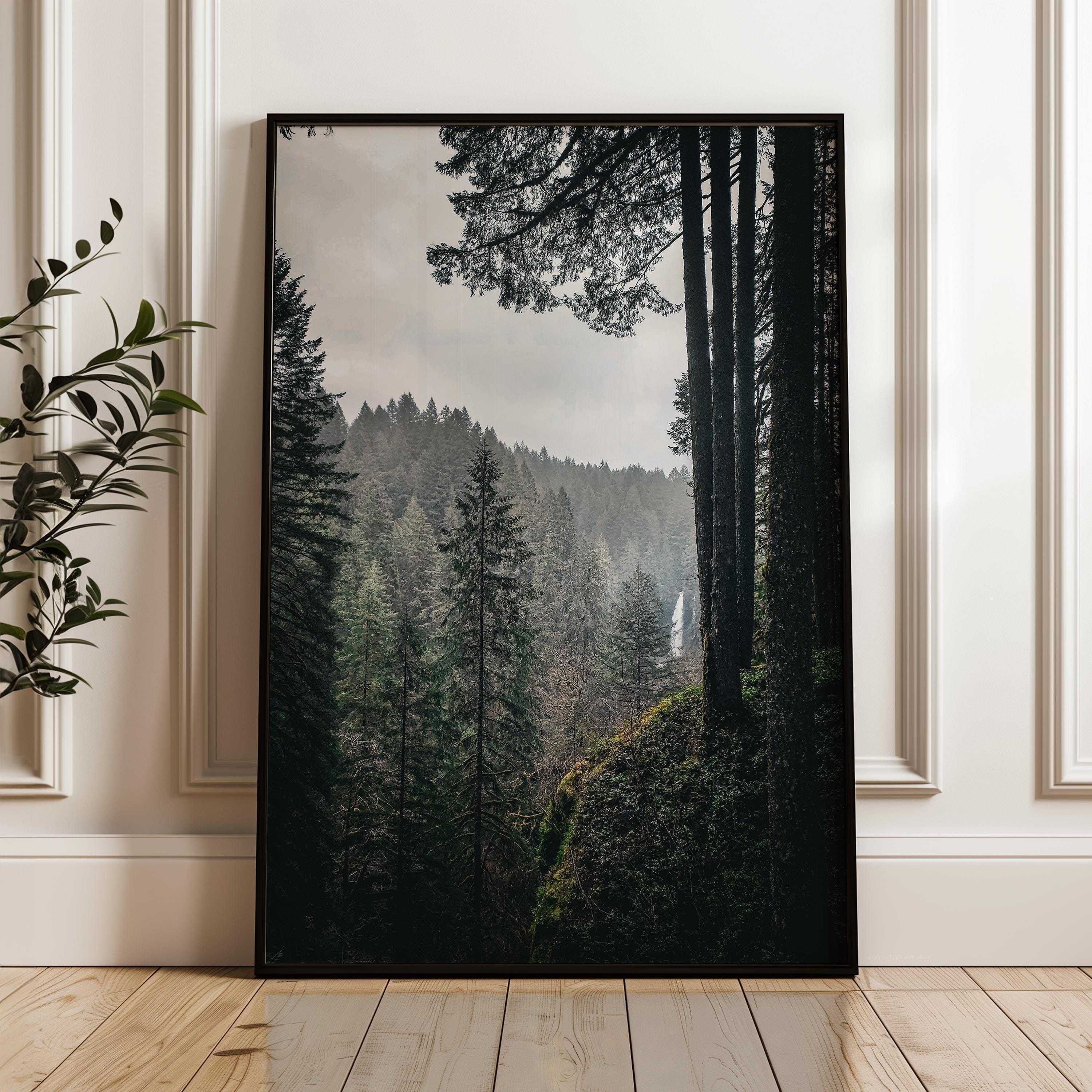 Silver Falls State Park Wall Art, Oregon Forest Photography Print, Moody Waterfall Landscape Décor, Pacific Northwest Nature Photo