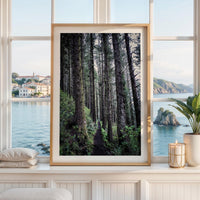 Oregon Forest Wall Art, Coastal Trail Photography, Sitka Spruce Print, Pacific Northwest Nature Decor