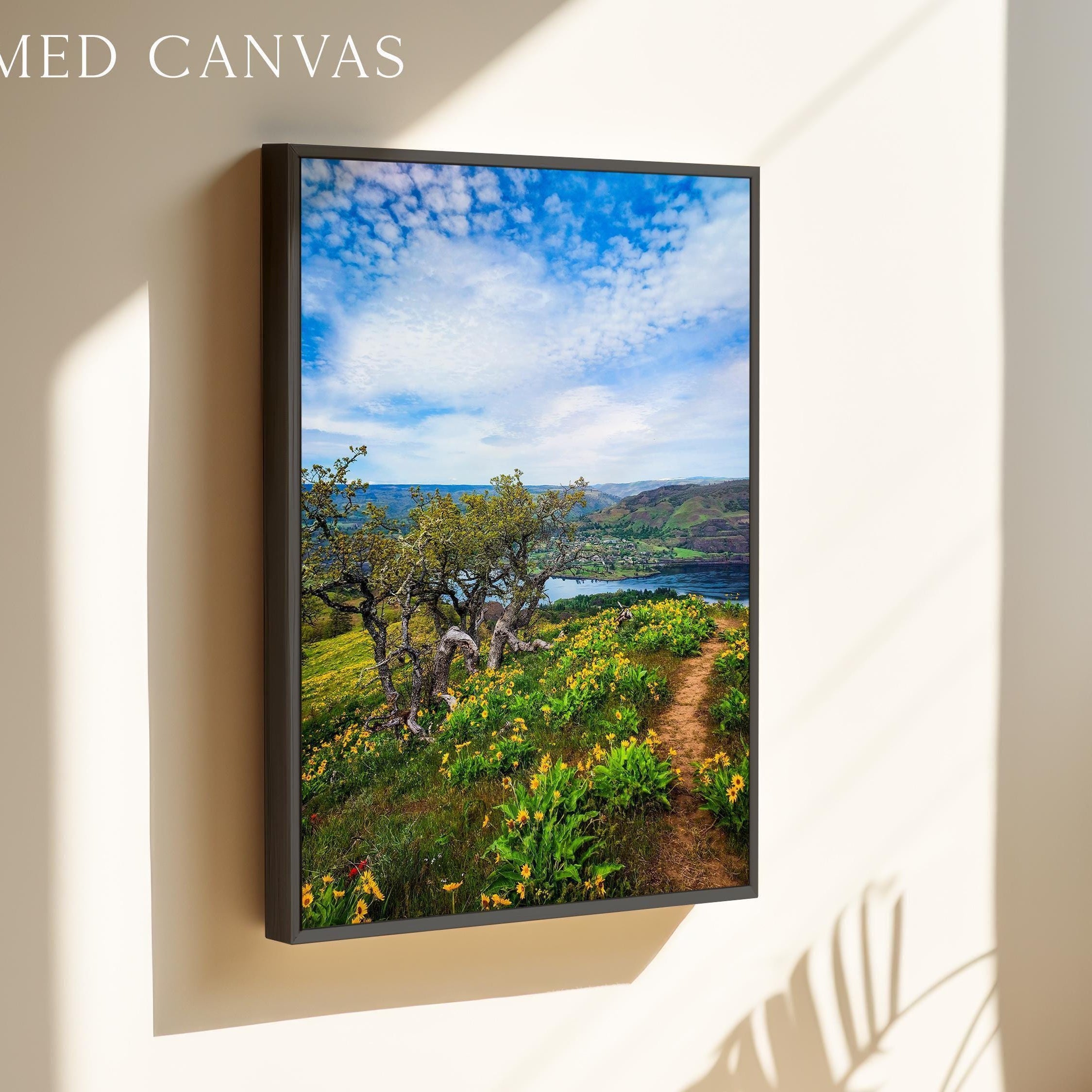 Oregon Landscape Photography Print, Tom McCall Point Trail Wall Art, Columbia River Gorge, PNW Nature Photo by Jessie Dysart