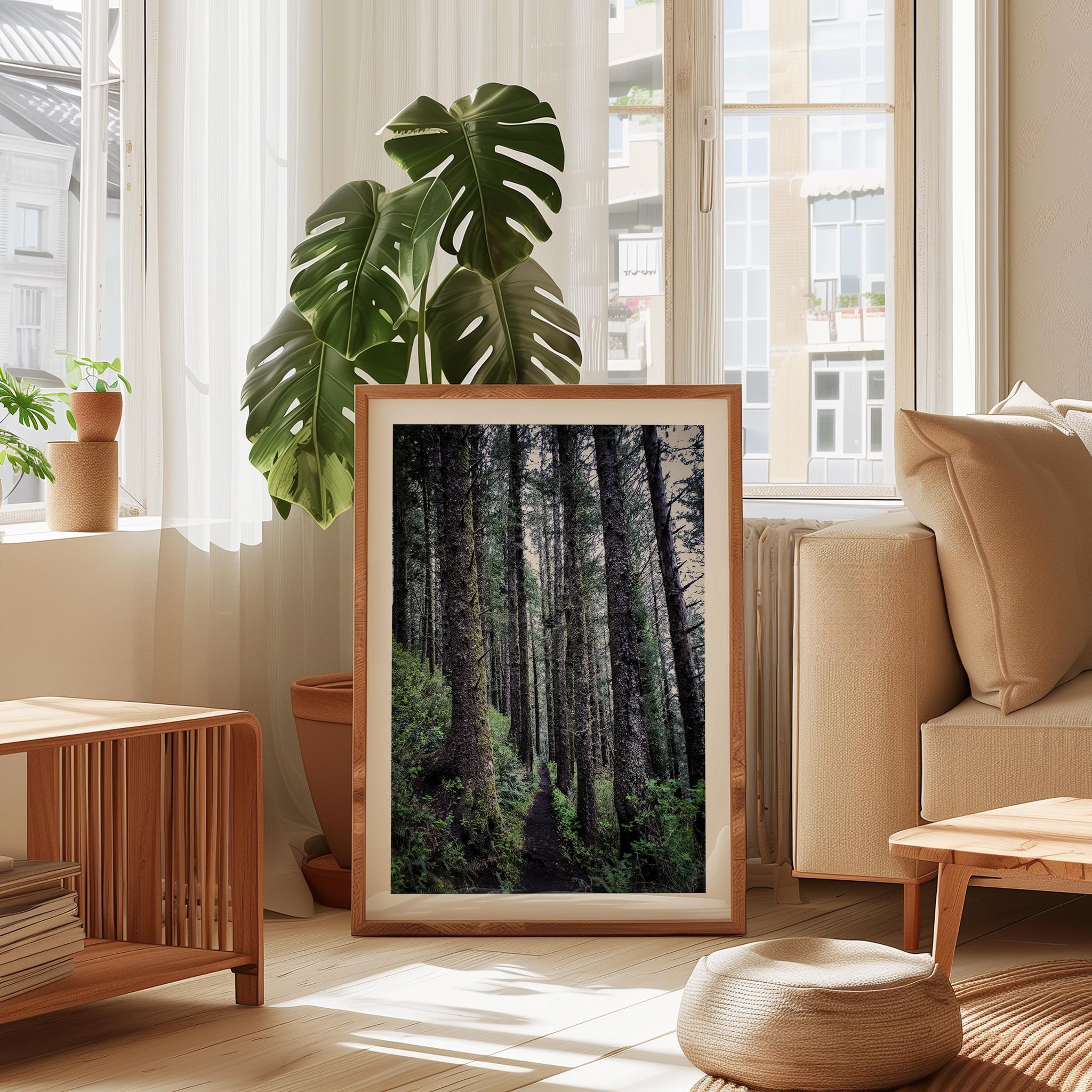 Oregon Forest Wall Art, Coastal Trail Photography, Sitka Spruce Print, Pacific Northwest Nature Decor