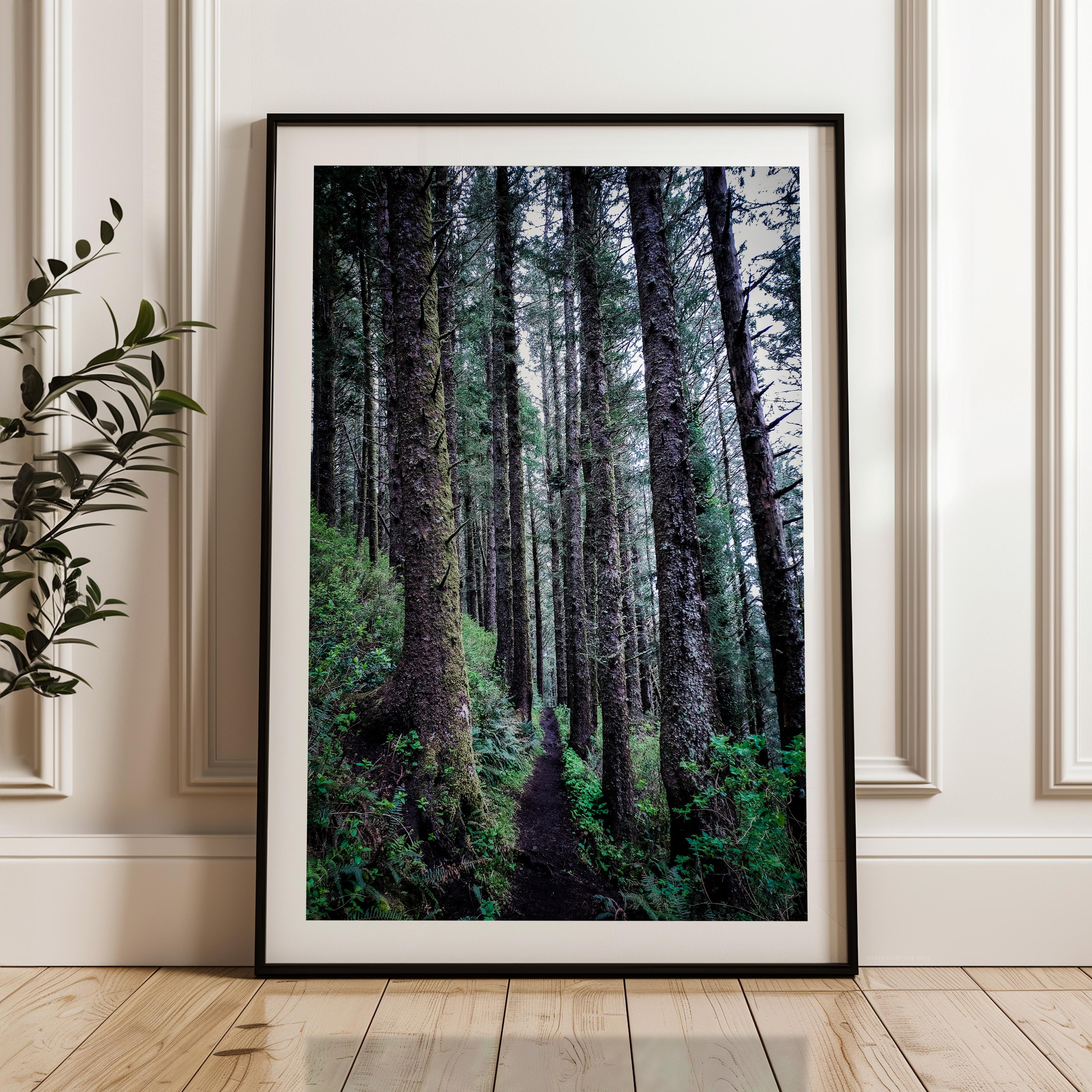 Oregon Forest Wall Art, Coastal Trail Photography, Sitka Spruce Print, Pacific Northwest Nature Decor