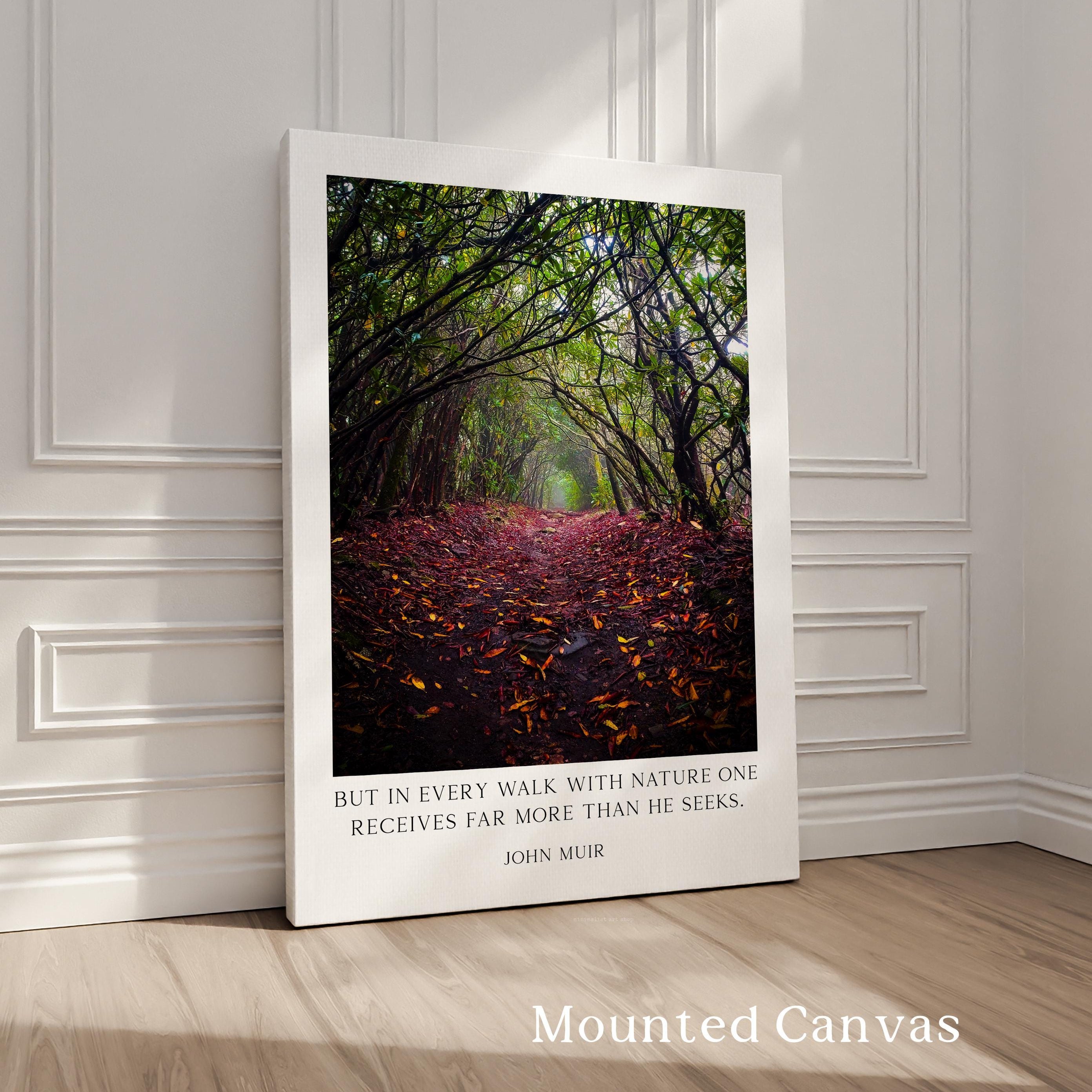 A framed photograph of a forest path covered in fallen leaves, with a quote by John Muir superimposed on the image.