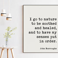I go to nature to be soothed and healed, and to have my senses put in order., John Burroughs Quote, Art Print, Nature Lover (1917)