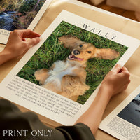 A person's hands holding a framed photograph of a golden retriever dog lying on the grass, with the name "Wally" printed on the frame.