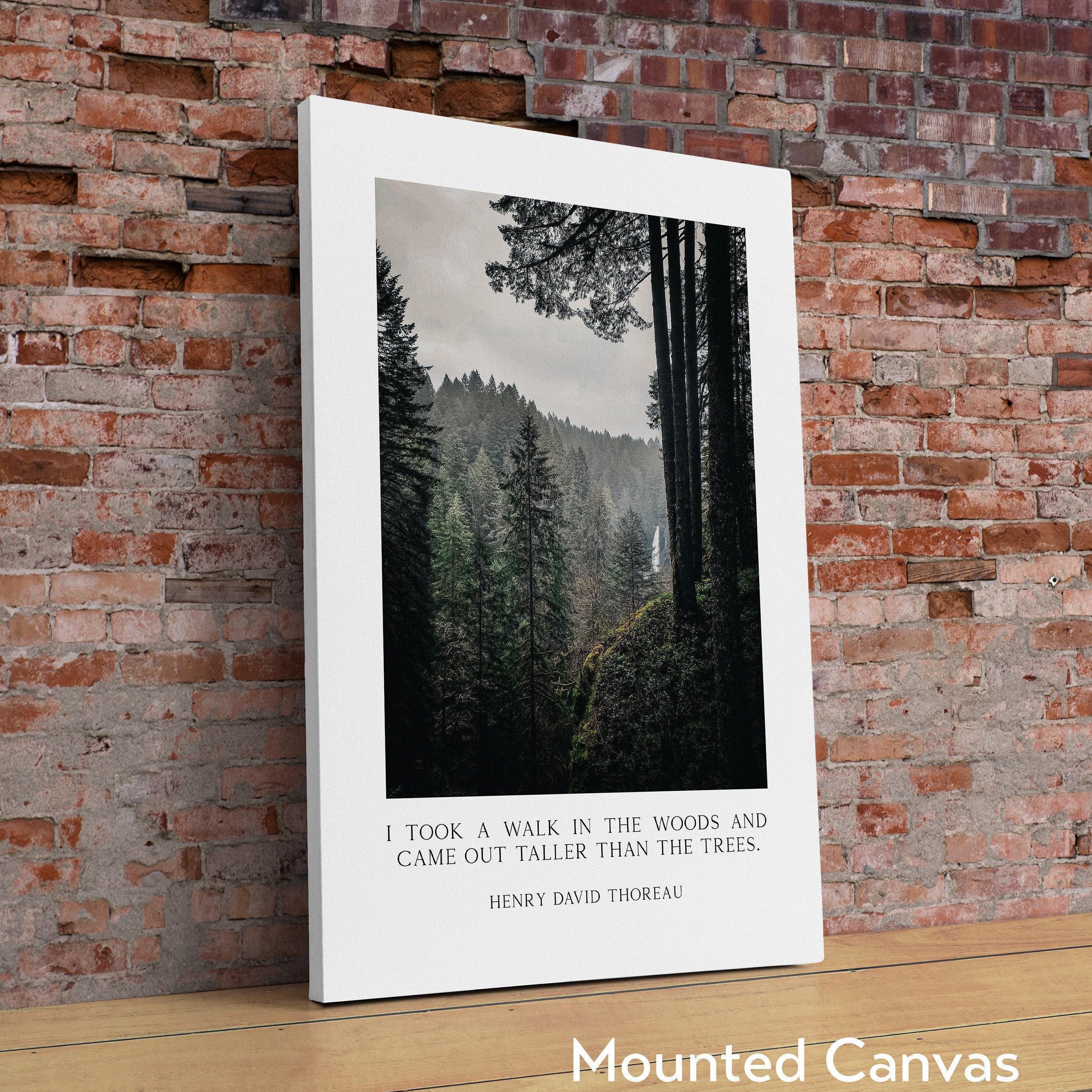 Henry David Thoreau Quote, "I took a walk in the woods and came out taller than the trees." Typography Art Print - Oregon Evergreen Forest