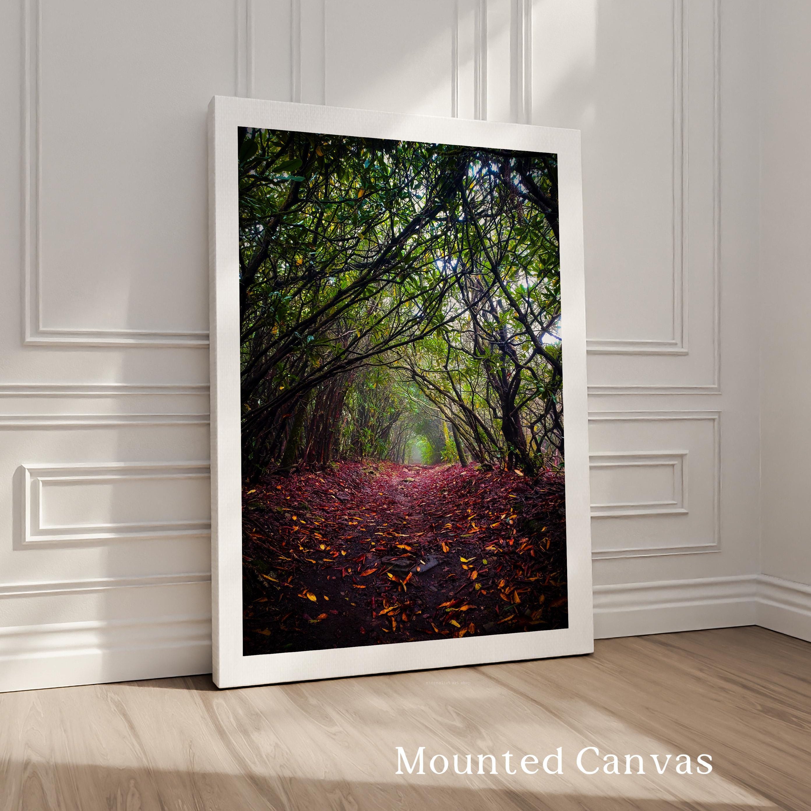A framed photograph of a forest path covered in fallen leaves, with a lush, green canopy overhead.