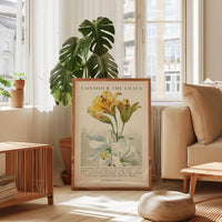 Consider the Lilies, Scripture Wall Art - Matthew 6 28–29 Verse