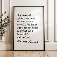 A Grove of Giant Redwoods Quote, Theodore Roosevelt Typography Print, Nature Lovers Wall Art Home Décor