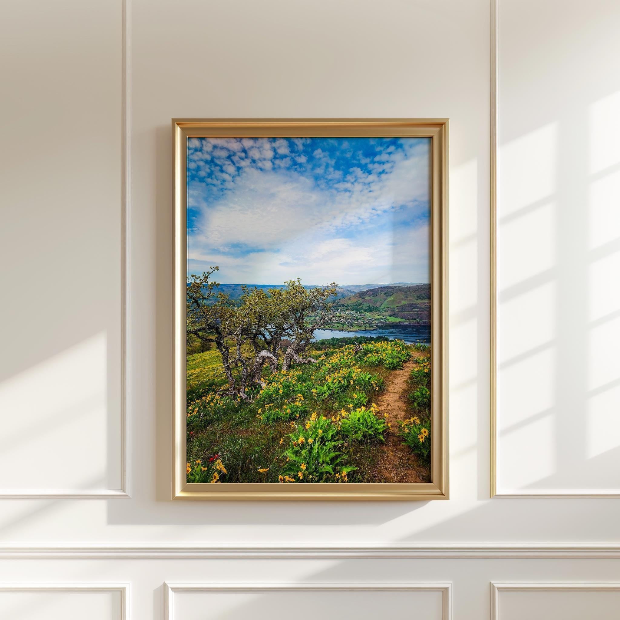 Oregon Landscape Photography Print, Tom McCall Point Trail Wall Art, Columbia River Gorge, PNW Nature Photo by Jessie Dysart