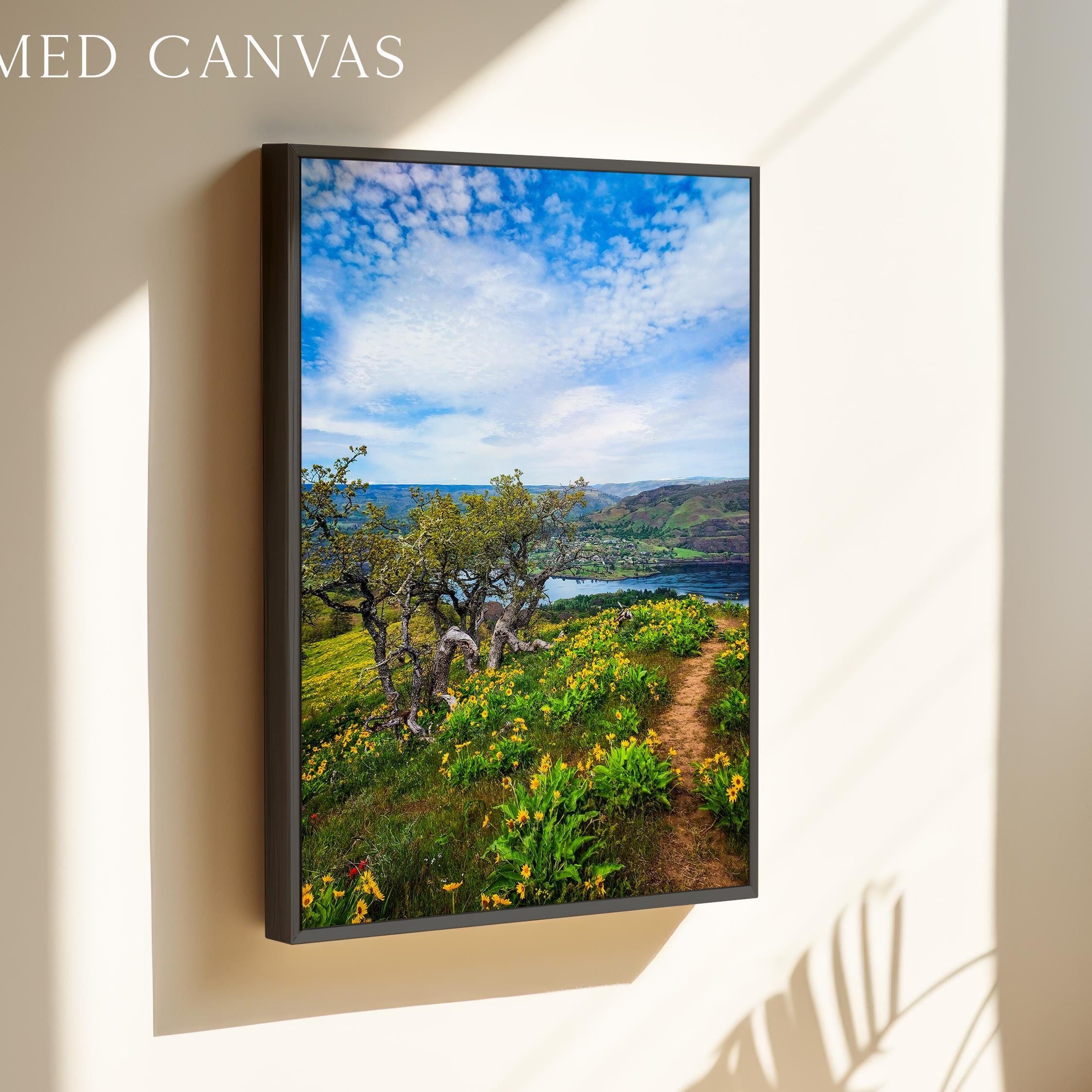 Oregon Landscape Photography Print – Tom McCall Point Trail Wall Art – Columbia River Gorge – PNW Nature Photo by Jessie Dysart