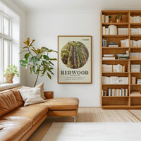 Redwood National Park Print, California Travel Art, Mid Century Modern Wall Decor