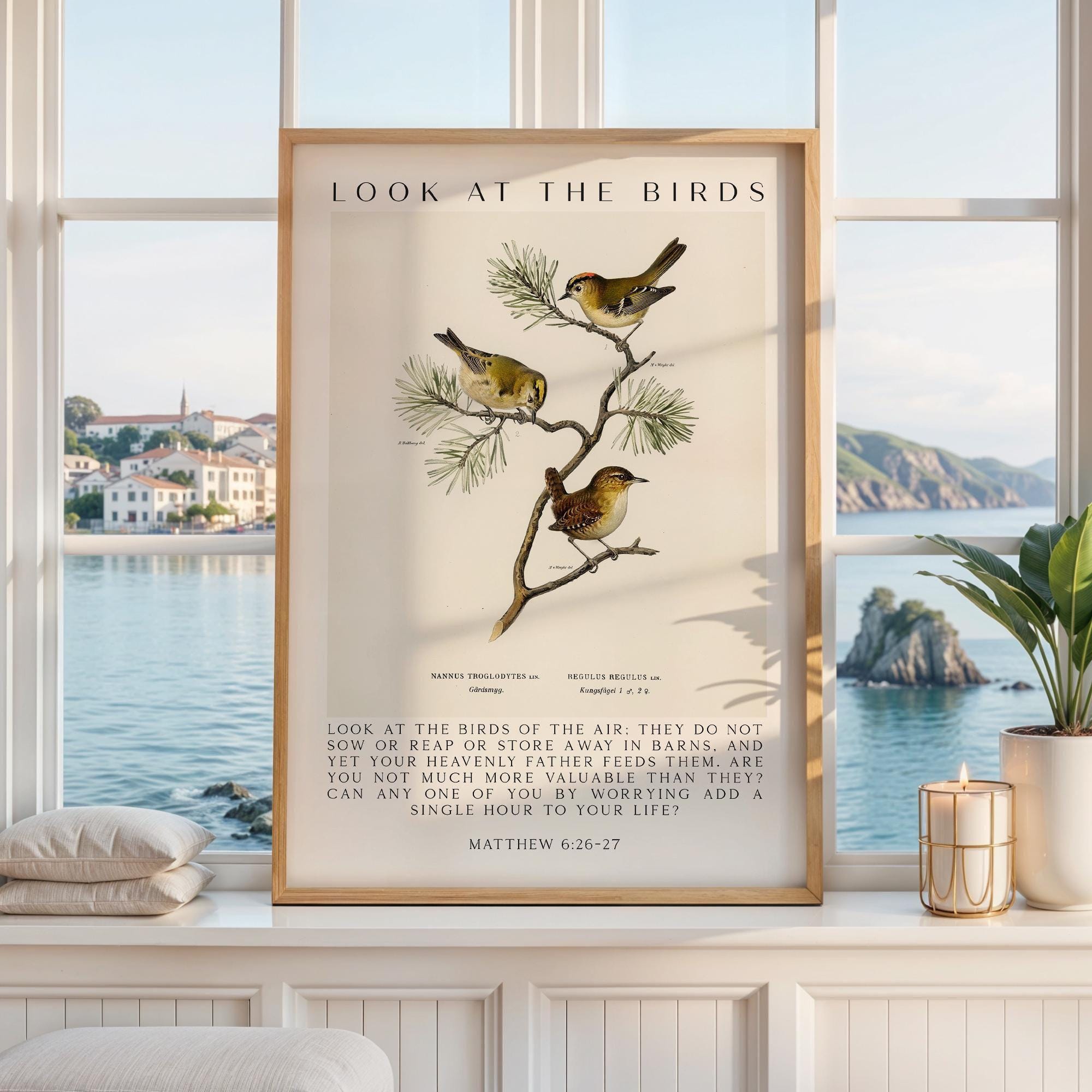 May include: A framed vertical wall art print featuring three small birds perched on a pine branch. The text reads LOOK AT THE BIRDS at the top and includes the full Matthew 6:26-27 scripture passage at the bottom in a clean, black serif font.