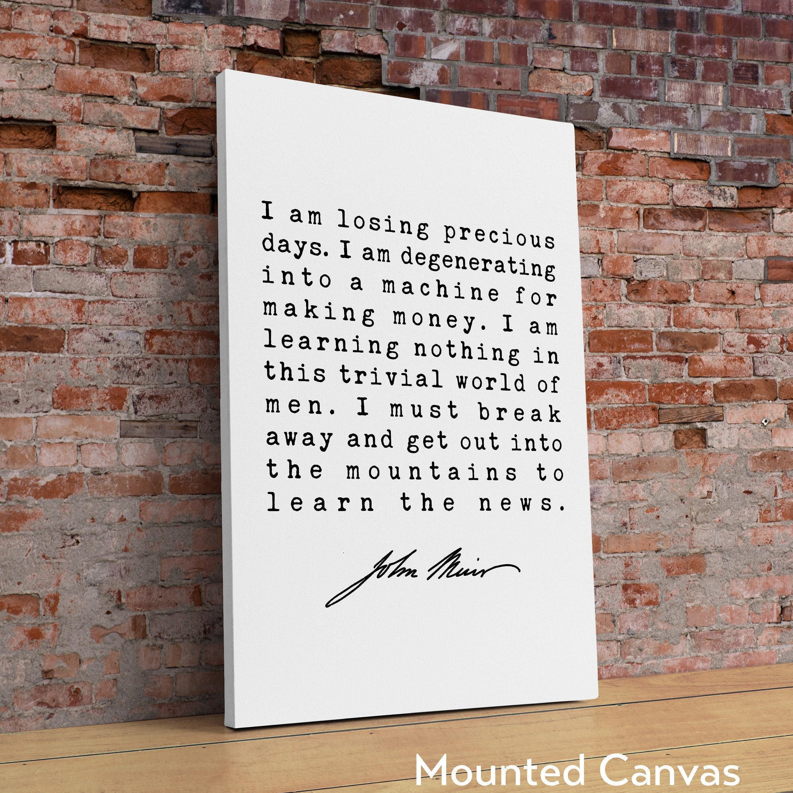 I am losing precious days. I am degenerating into a machine for making money., John Muir Quote Print, Environmentalist, John Muir Quotes
