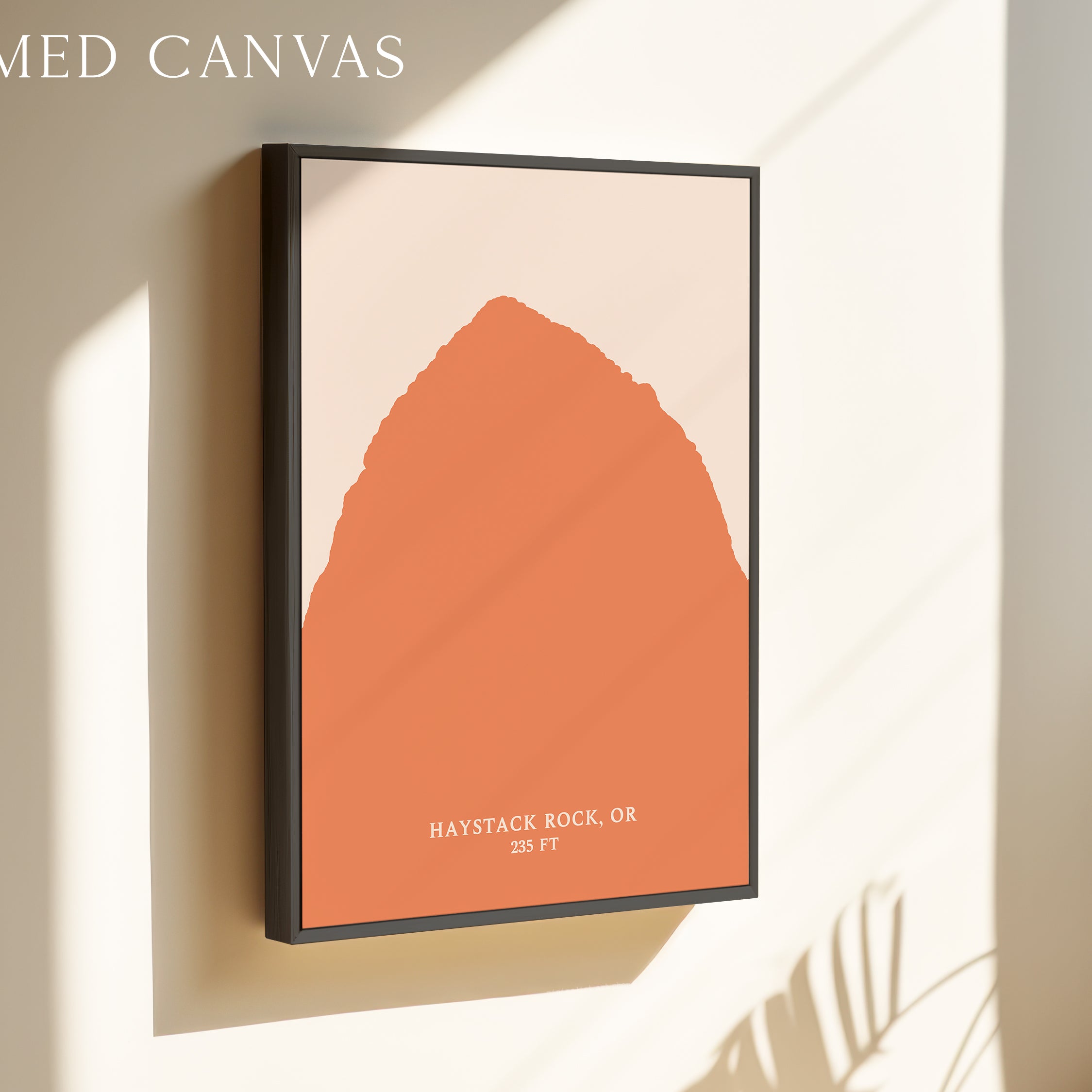a framed canvas with an abstract orange shape, hanging on a wall.