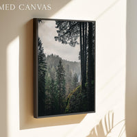 Silver Falls State Park Wall Art,  Oregon Forest Photography Print,  Moody Waterfall Landscape Décor, Pacific Northwest Nature Photo