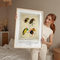 The charm of fishing is that it is the pursuit... John Buchan Quote featuring Trout & Bass Flies by Mary Orvis Marbury. Typography Art Print