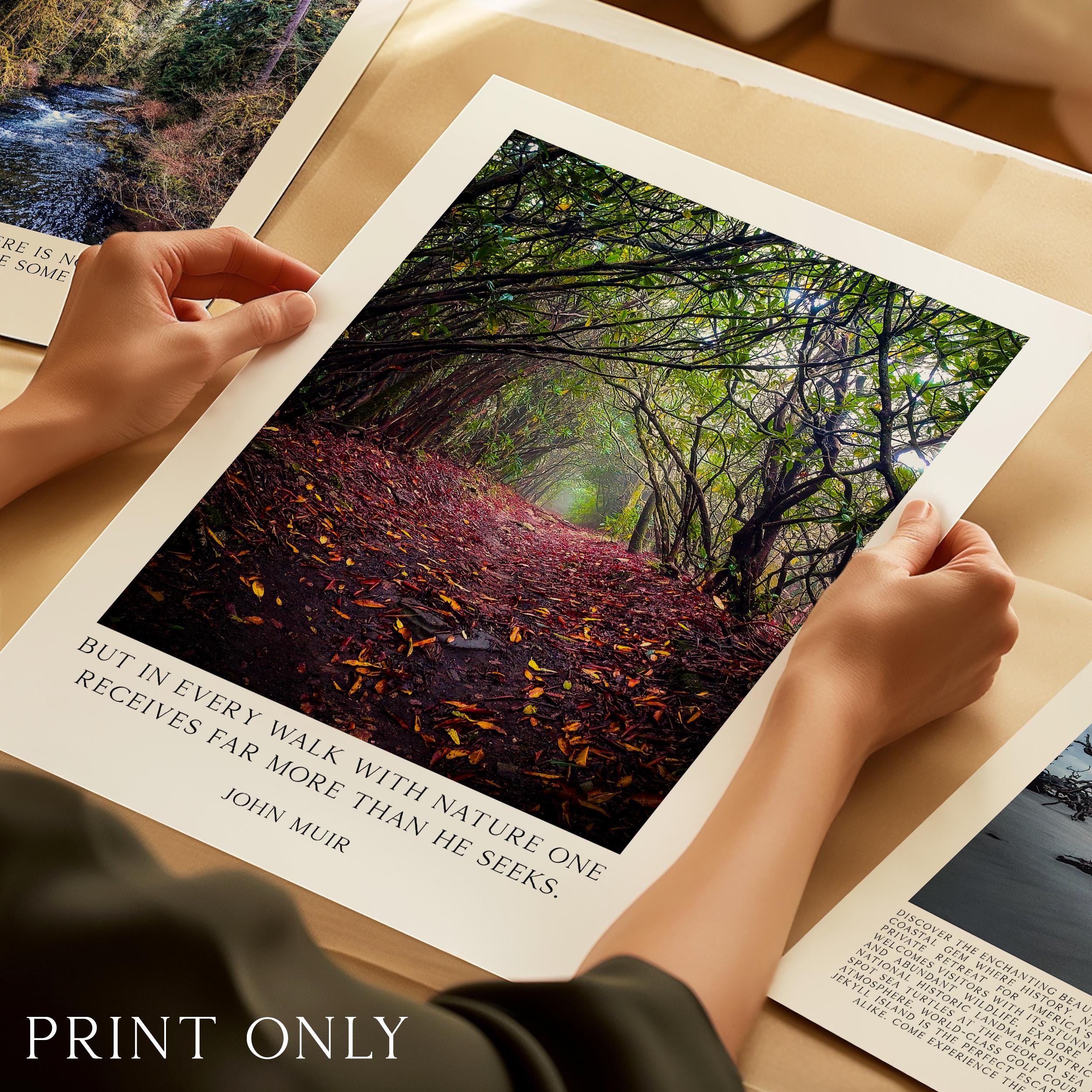 A person's hands holding a framed photograph of a forest with fallen leaves on the ground, and a quote attributed to John Muir about the importance of nature walks.