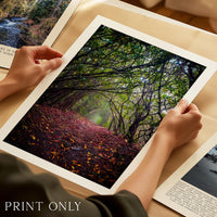 A person's hands are holding a framed print of a forest scene with fallen leaves on the ground.