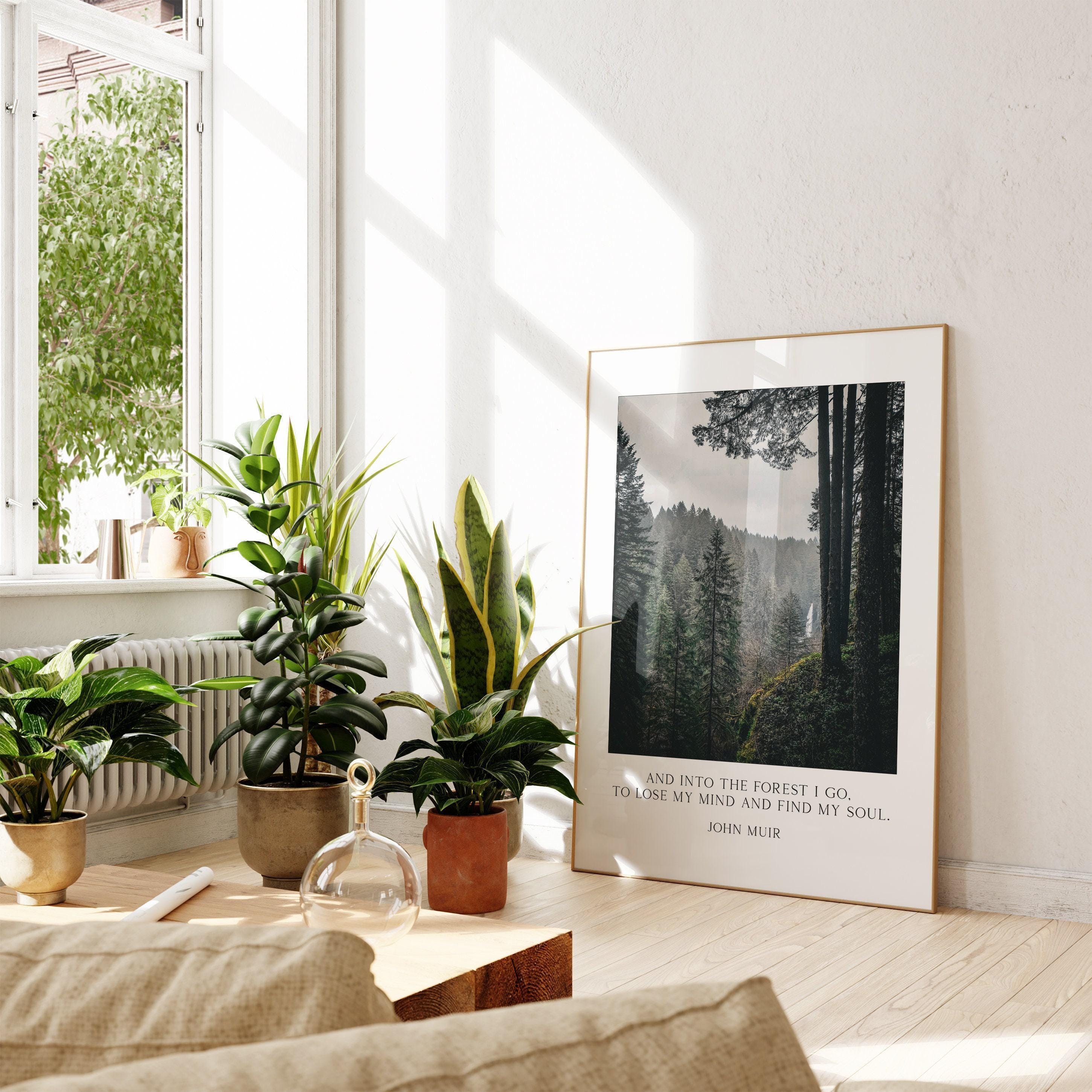 John Muir Quote - And into the forest I go, to lose my mind and find my soul. Art Print - Oregon Evergreen Forest - Silver Falls State Park