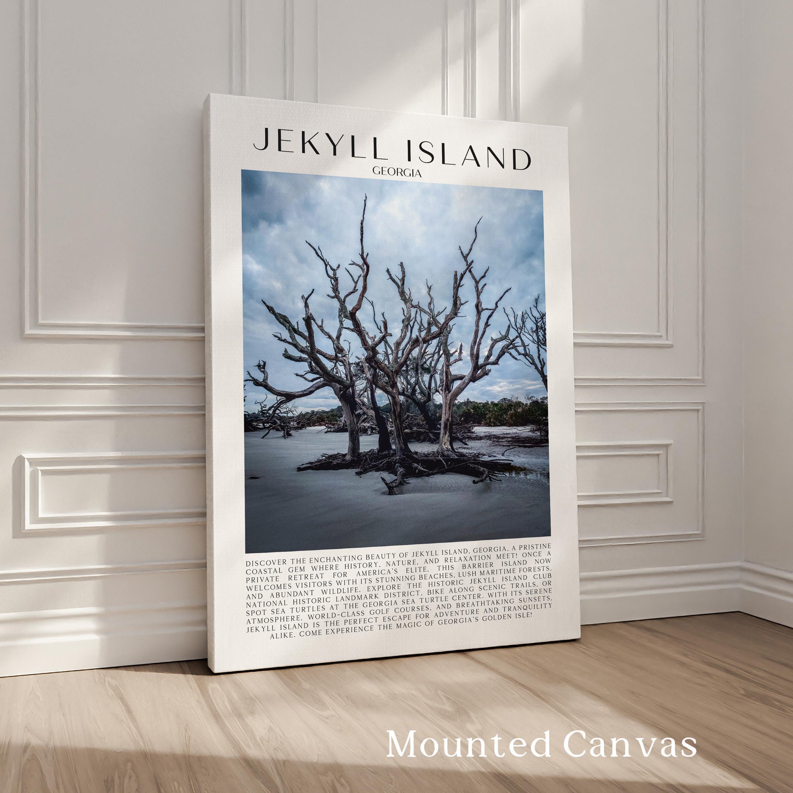 Jekyll Island, Georgia Typography Art Print,  Driftwood Beach,  Photo,  Travel