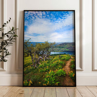 Oregon Landscape Photography Print – Tom McCall Point Trail Wall Art – Columbia River Gorge – PNW Nature Photo by Jessie Dysart