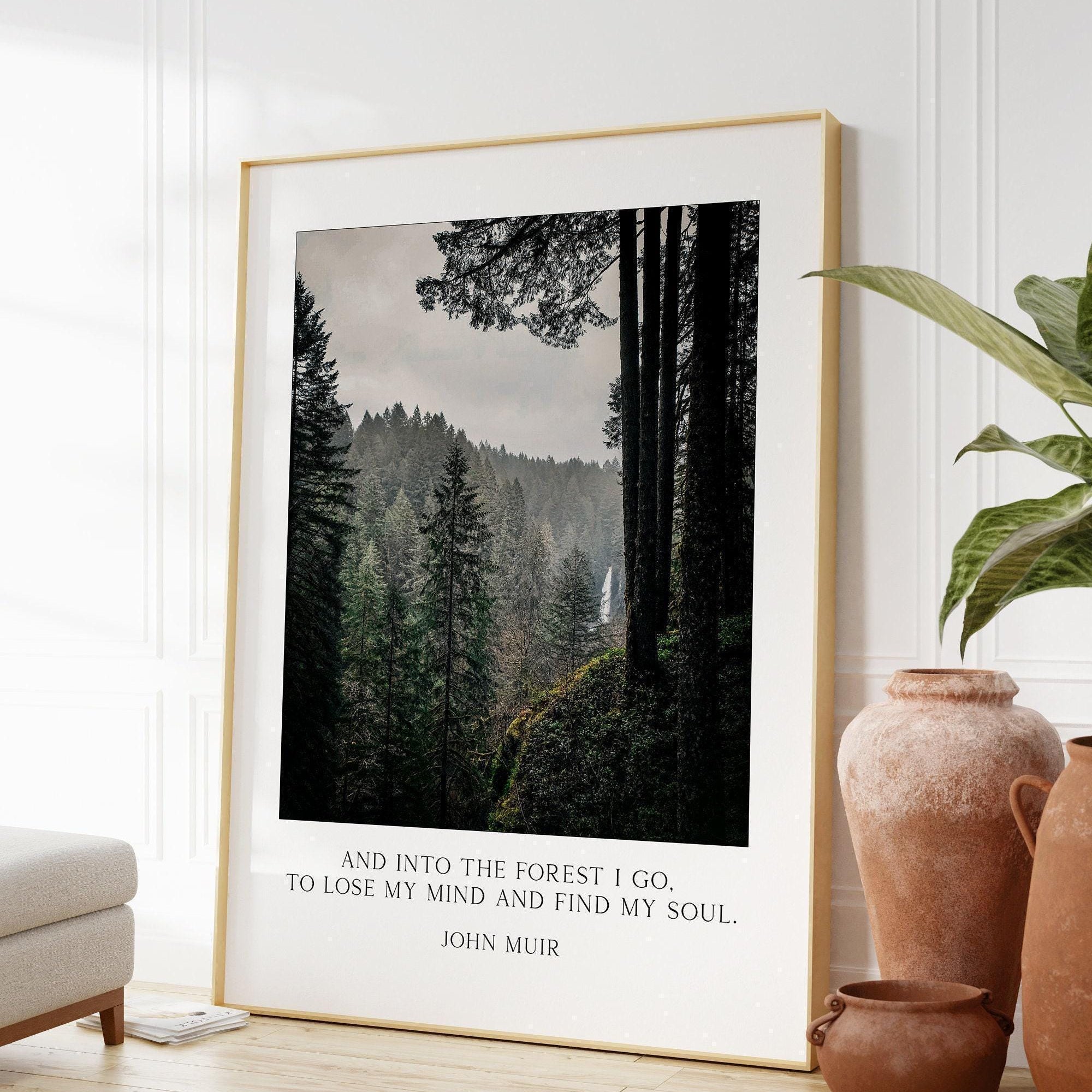 John Muir Quote,  And into the forest I go, to lose my mind and find my soul. Art Print - Oregon Evergreen Forest - Silver Falls State Park