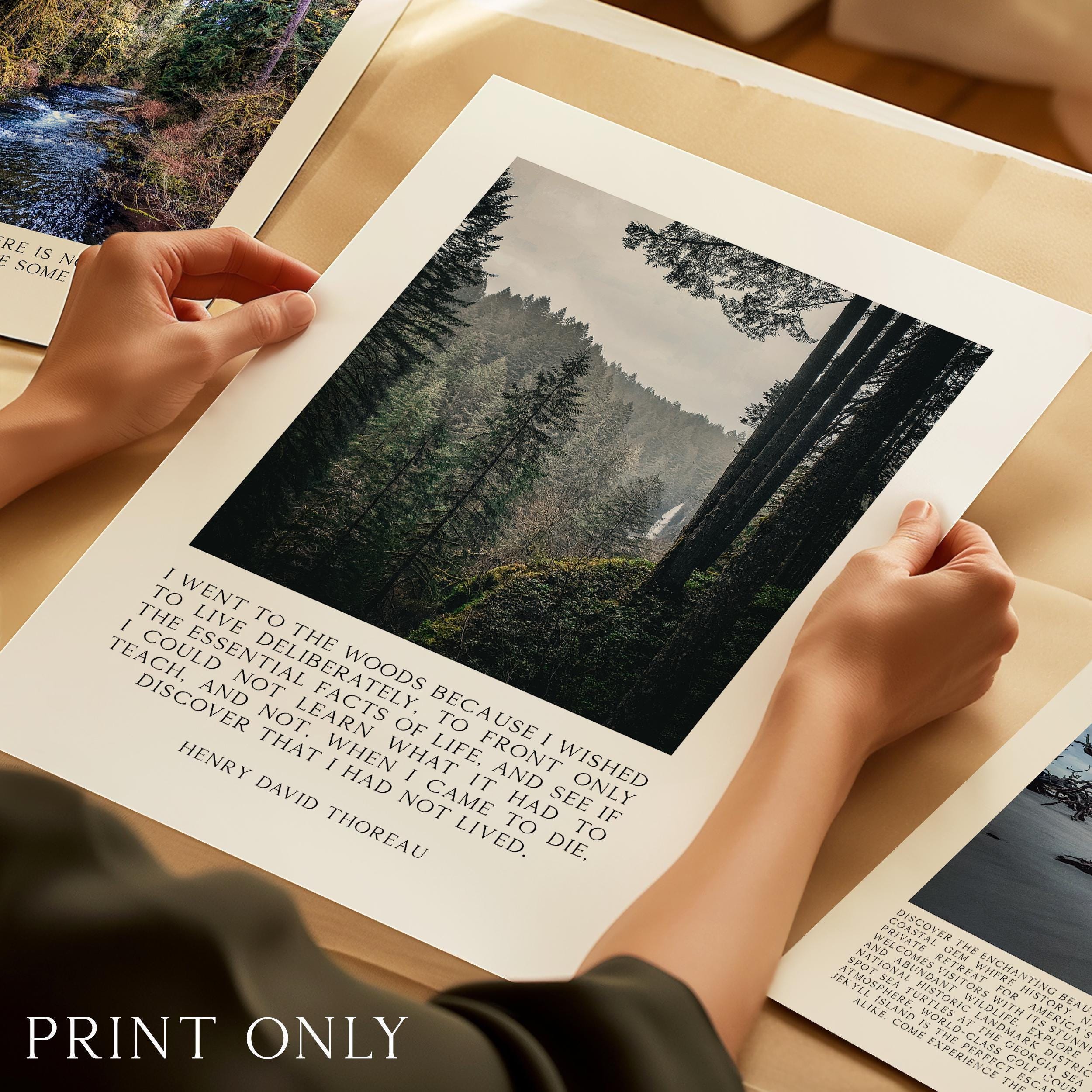 Henry David Thoreau Quote Print, Silver Falls State Park Oregon Photography, Nature Wall Art