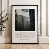 Henry David Thoreau Quote Print, Silver Falls State Park Oregon Photography, Nature Wall Art