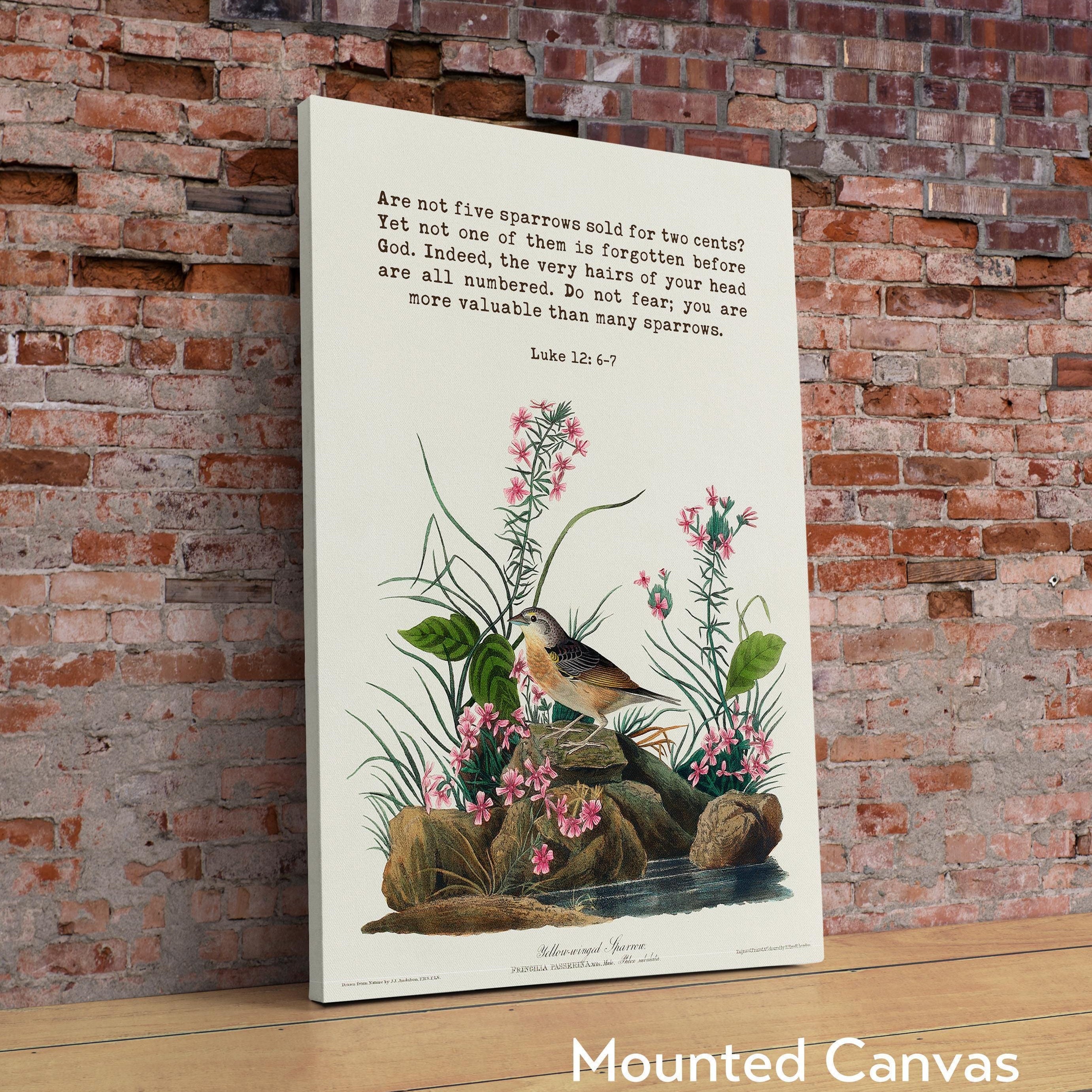 Are not five sparrows sold for two cents? Yet not one of them is forgotten before God. Luke 12:6-7 Art Print with Yellow-winged Sparrow