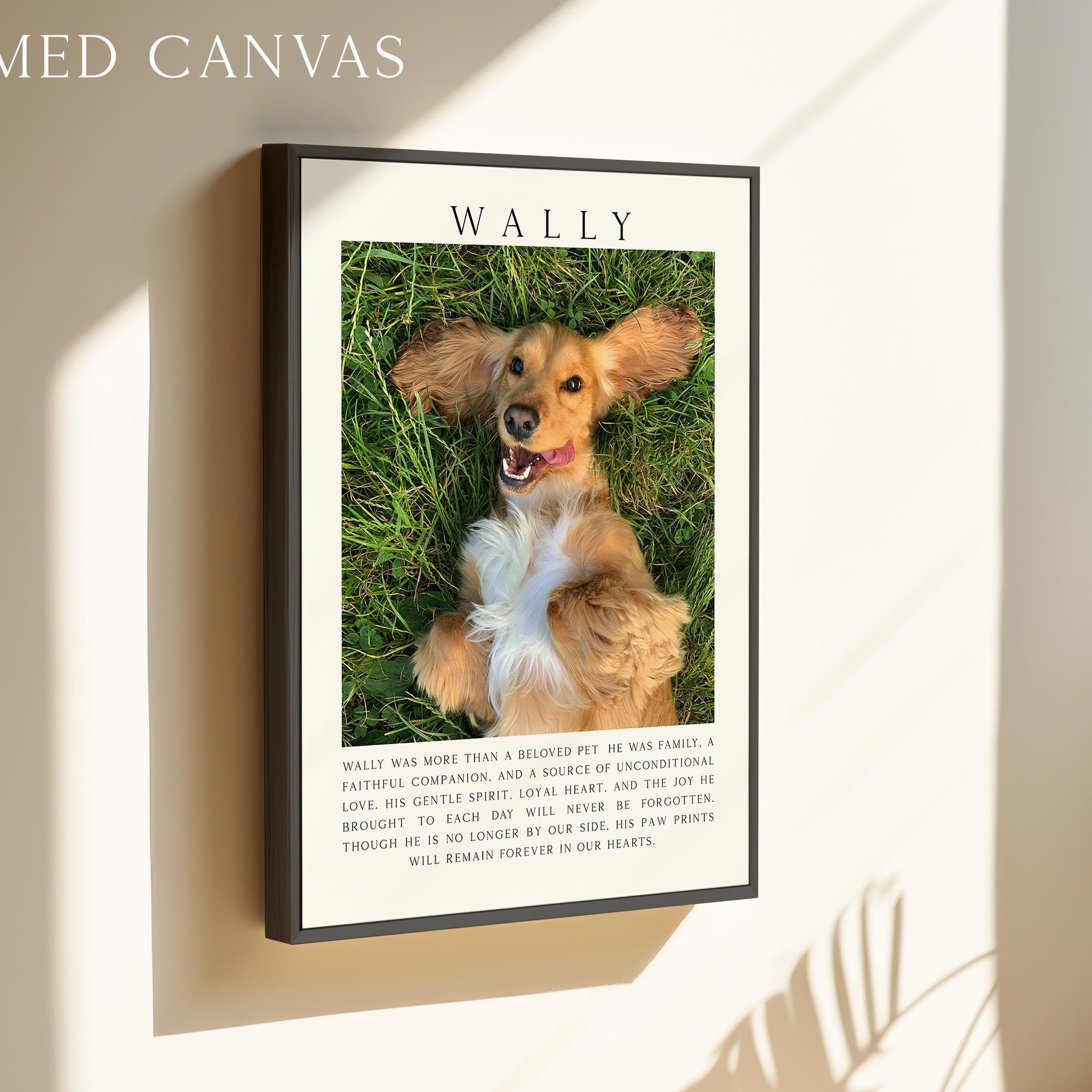 a picture of a dog hanging on a wall