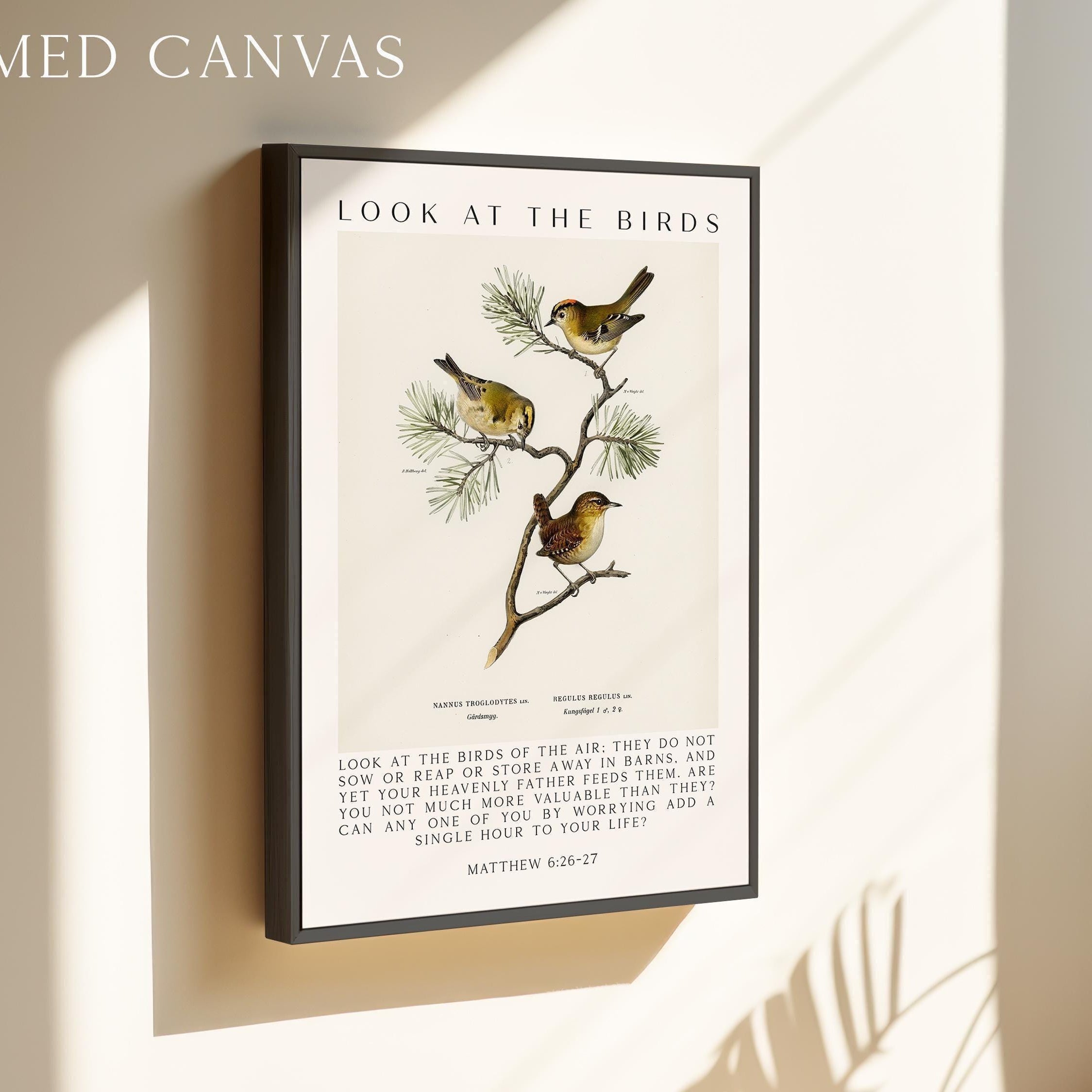 Matthew 6:26-27 Bible Verse Print, Look at the Birds Scripture Wall Art