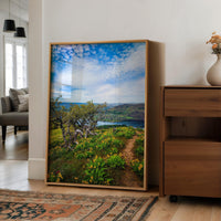 Oregon Landscape Photography Print,  Tom McCall Point Trail Wall Art,  Columbia River Gorge,  PNW Nature Photo by Jessie Dysart