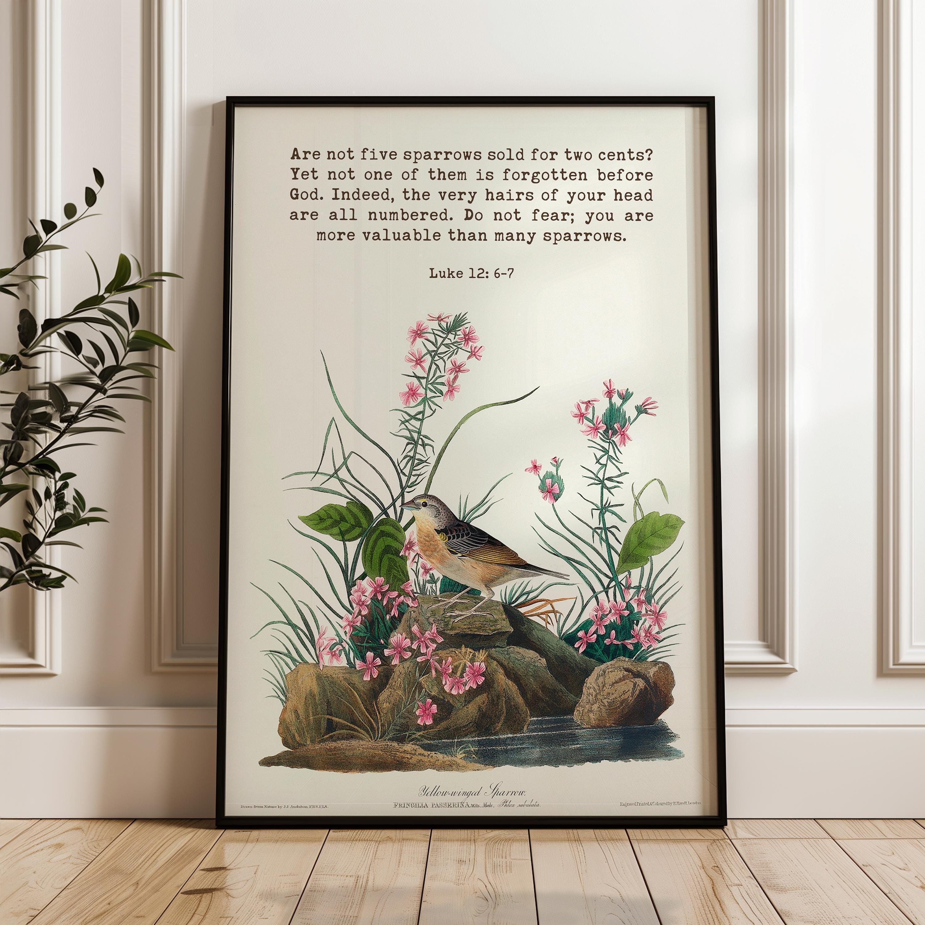 Are not five sparrows sold for two cents? Yet not one of them is forgotten before God. Luke 12:6-7 Art Print with Yellow-winged Sparrow