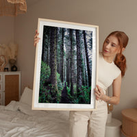 Oregon Forest Wall Art, Coastal Trail Photography, Sitka Spruce Print, Pacific Northwest Nature Decor