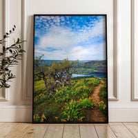Oregon Landscape Photography Print,  Tom McCall Point Trail Wall Art,  Columbia River Gorge,  PNW Nature Photo by Jessie Dysart